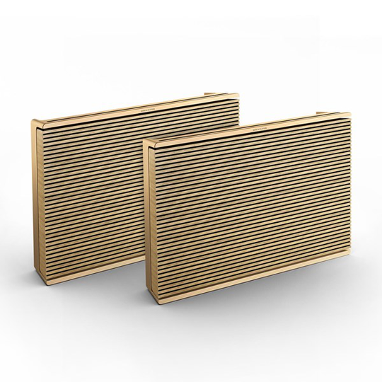 Bang & Olufsen Level x2 Trådlös högtalare