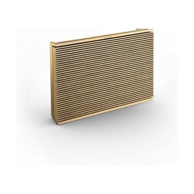 Bärbar Bluetooth Högtalare BANG & OLUFSEN BEOSOUND LEVEL