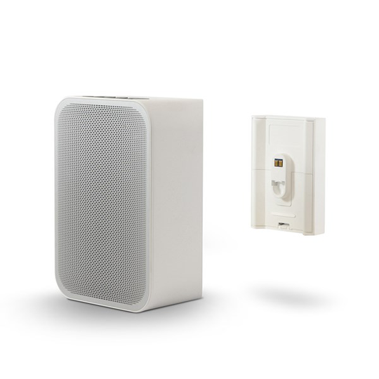 Bluesound PULSE FLEX 2i + BP100 Trådlös högtalare