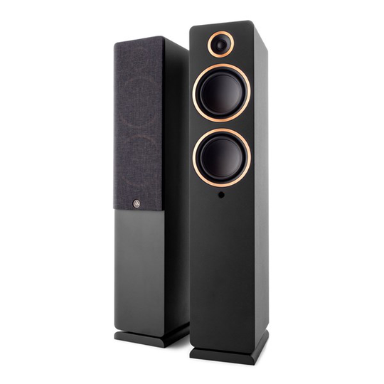 Argon Audio FENRIS A55 Trådlös högtalare - stereo